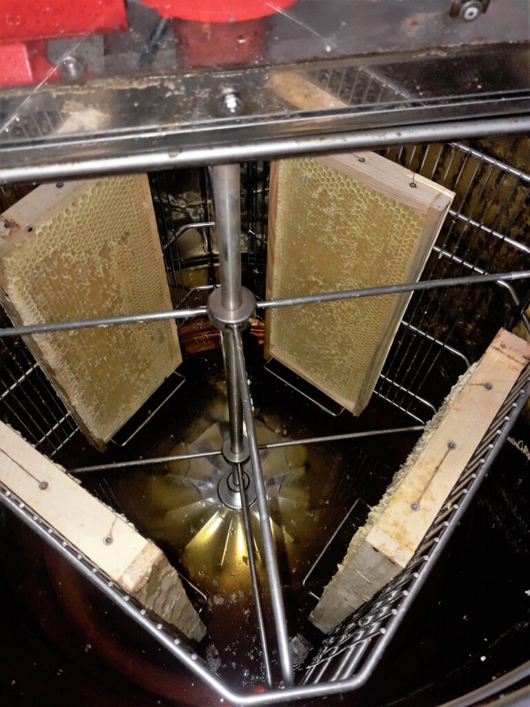 Honigwaben in der Schleuder