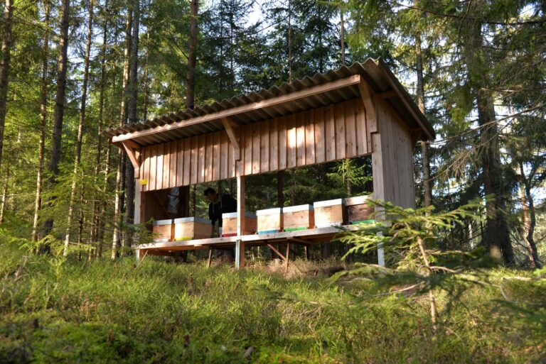 Bienenstand Hofstötter Leit'n