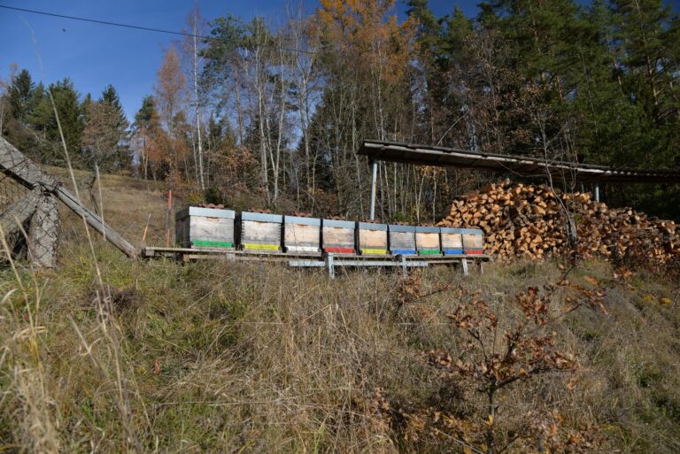 Bienenstand Kogler